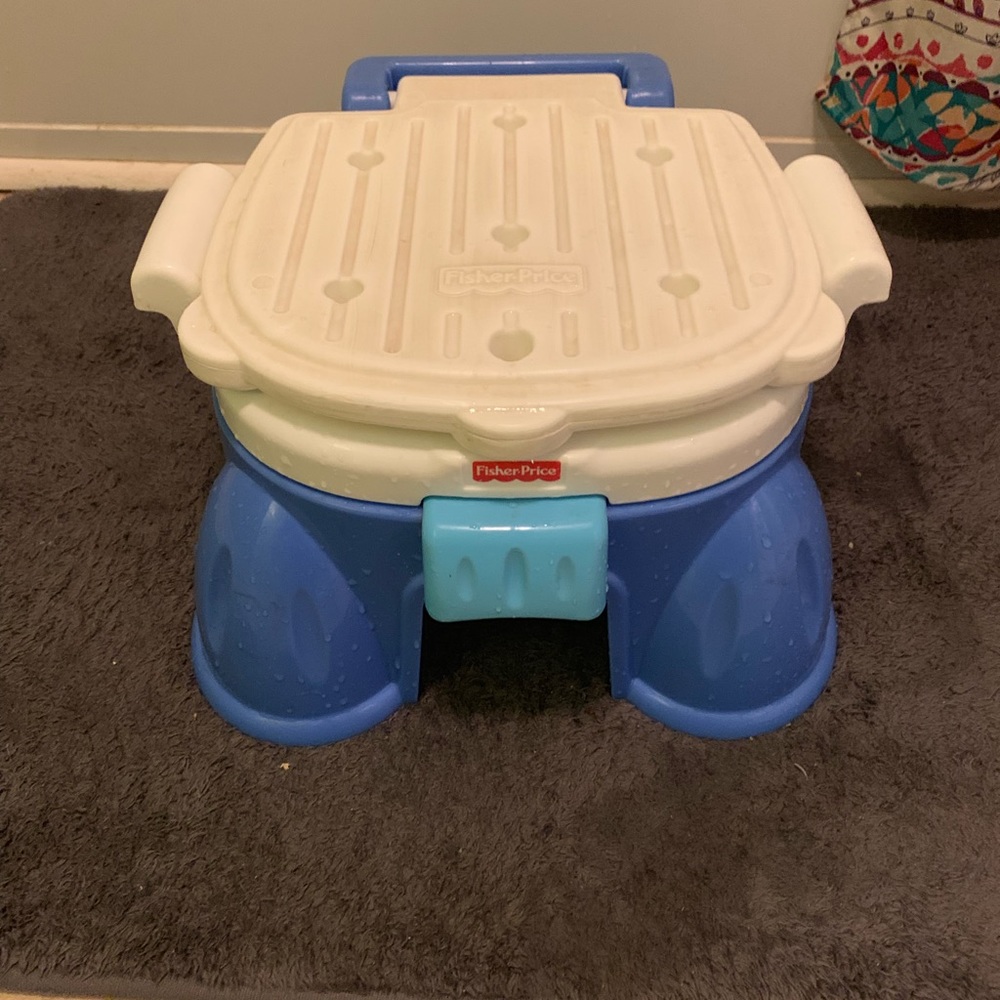 Fisher price potty chair